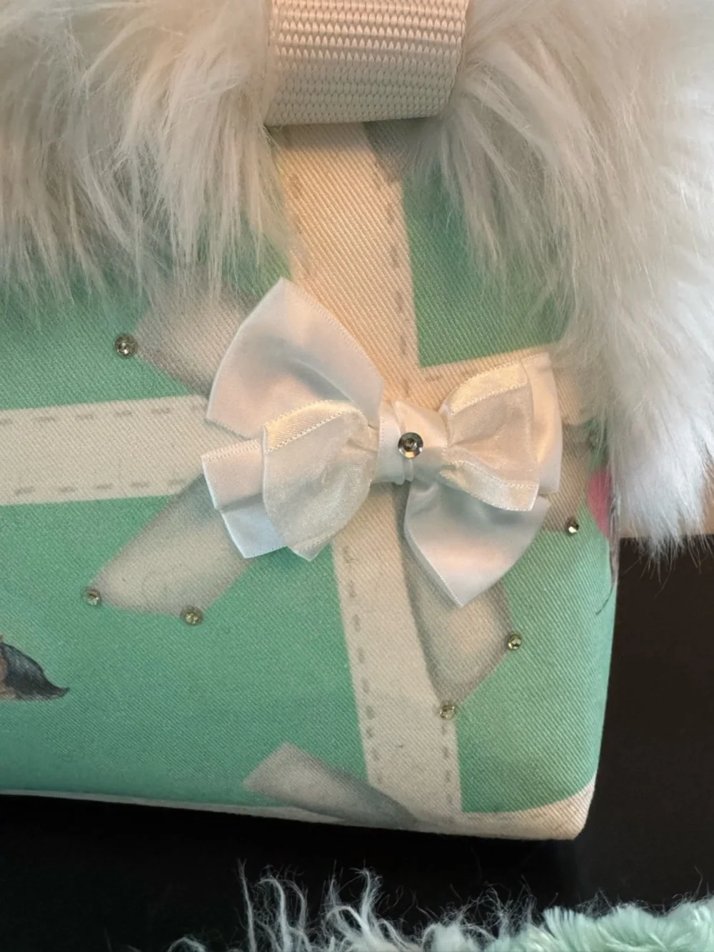 Mint Green Faux Fur Pet Carrier Bag & Matching Blanket